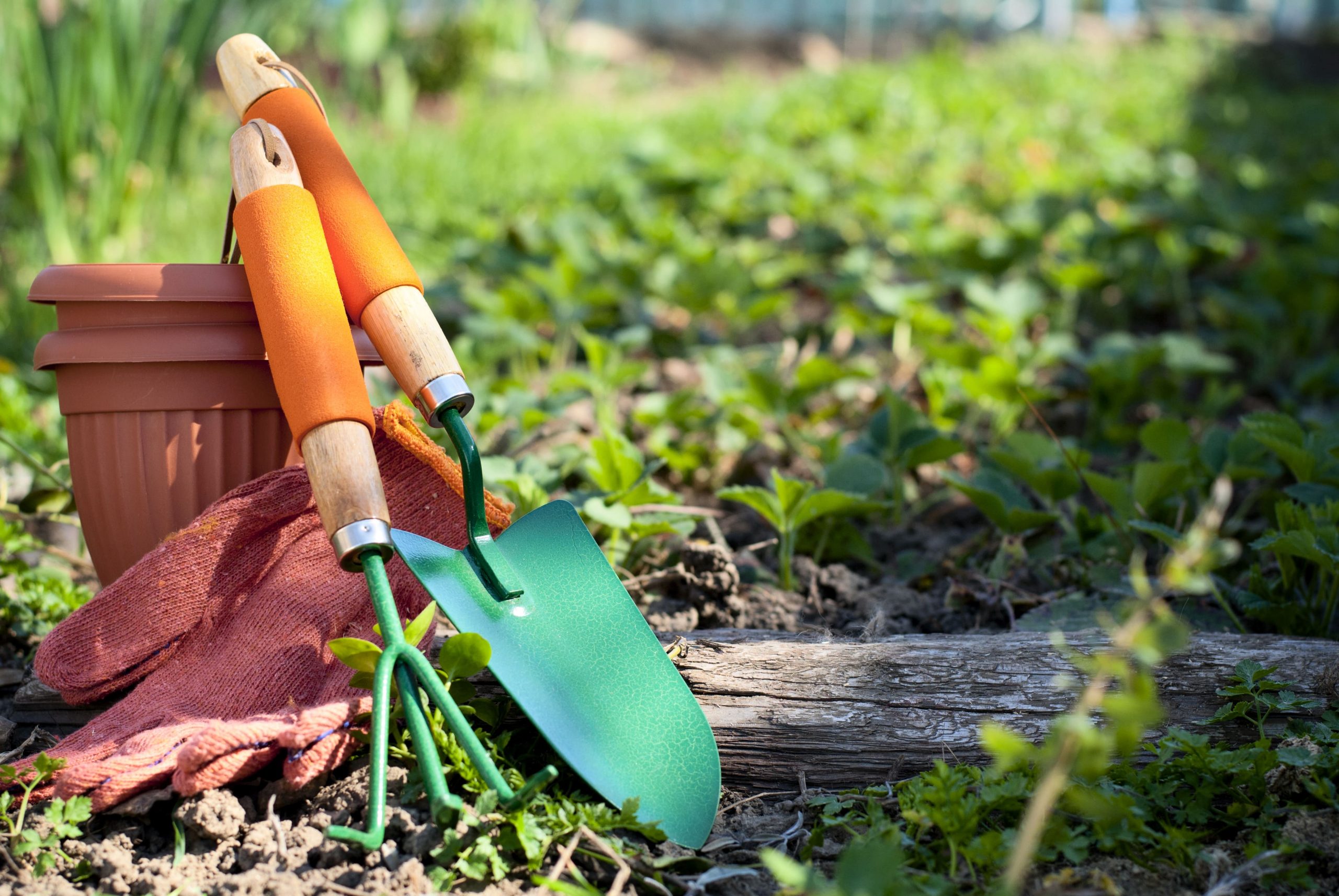 Essential Garden Tools for Beginners in Gardening